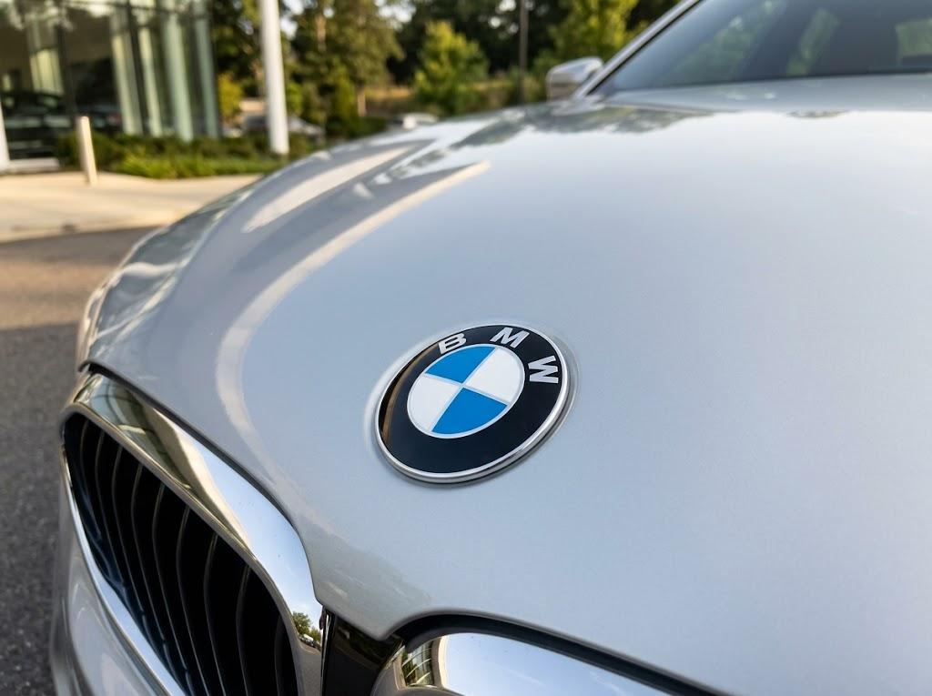 BMW roundel logo